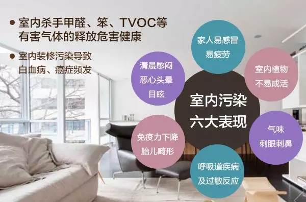裝修污染早已伸向了學校？中學生無緣高考的背后是什么？